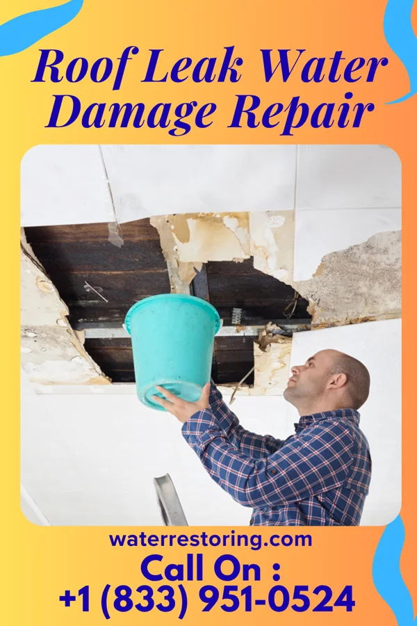 Roof Leak Water Damage Repair in Lake Mathews, CA